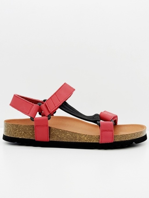 Scholl Heaven czerwone
