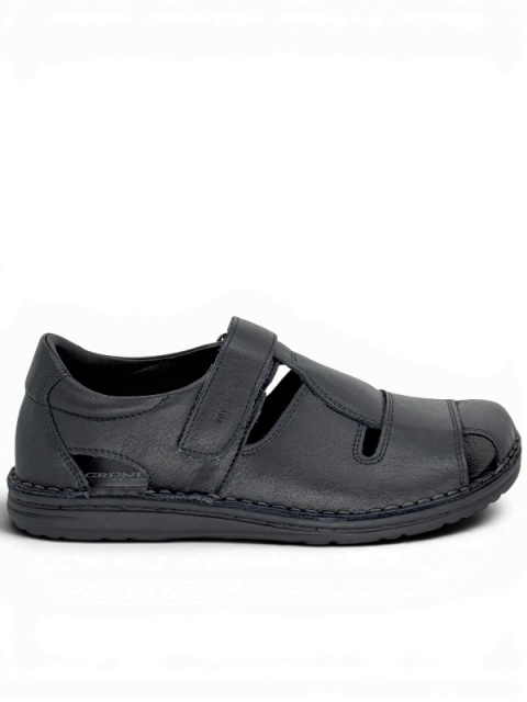 Grunland Lapo SA1955-80