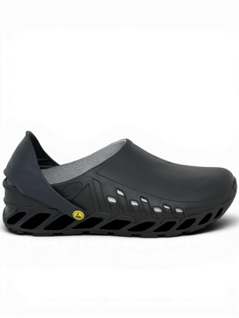 clogsy Scholl