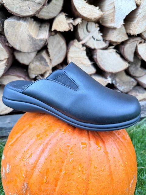Scholl New Foffee