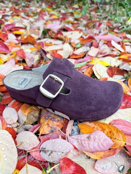 Klapki skórzane Scholl Inverness Buckle F01421 1014 cherry, tęgość G 1/2